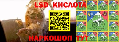 гашик Пугачёв