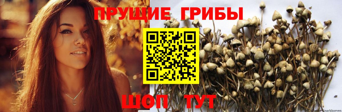 Псилоцибиновые грибы Magic Shrooms Спасск-Дальний